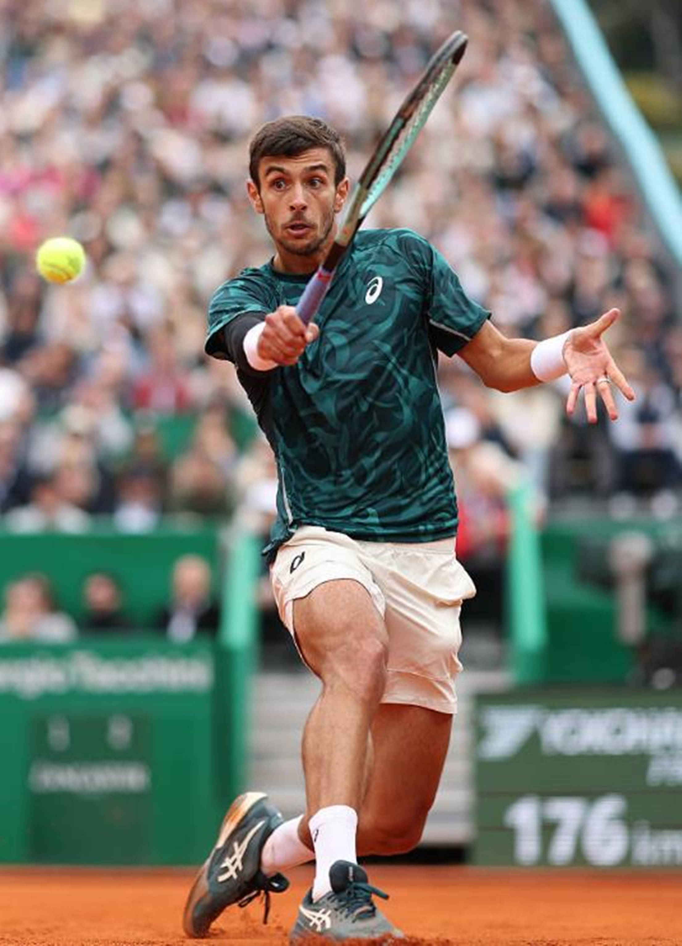 更是许多运 更是许多运